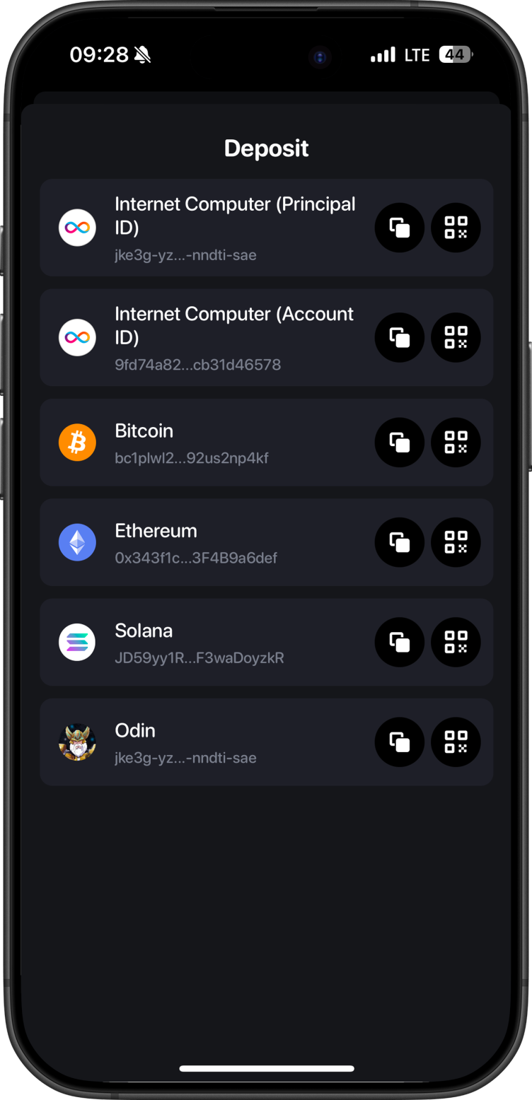 Plug Wallet Deposit Screen
