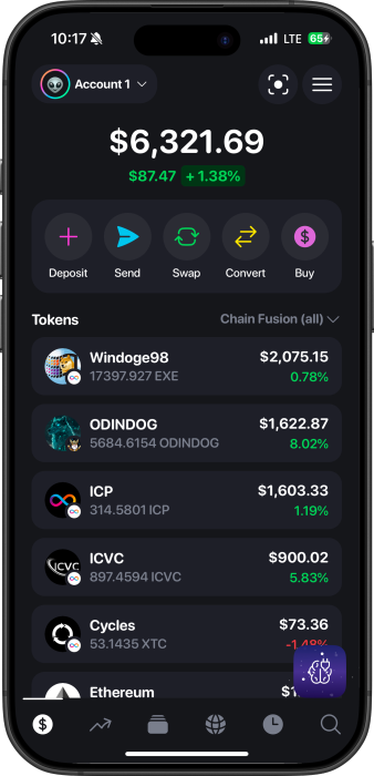 Plug Wallet Portfolio Interface