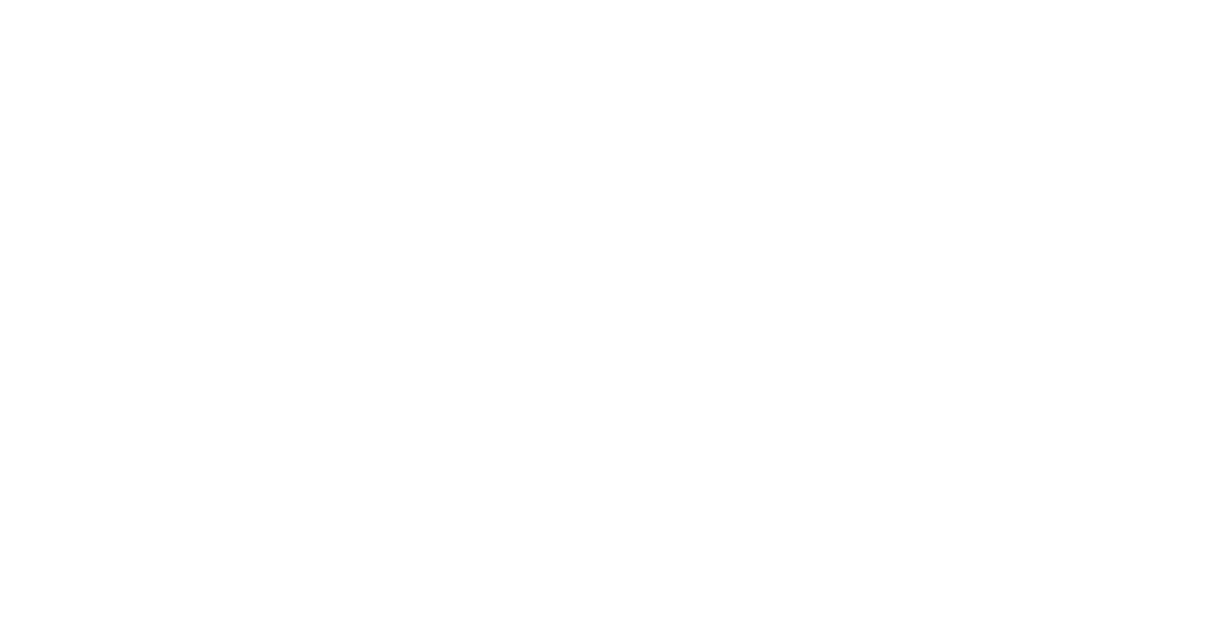 Plug Wallet