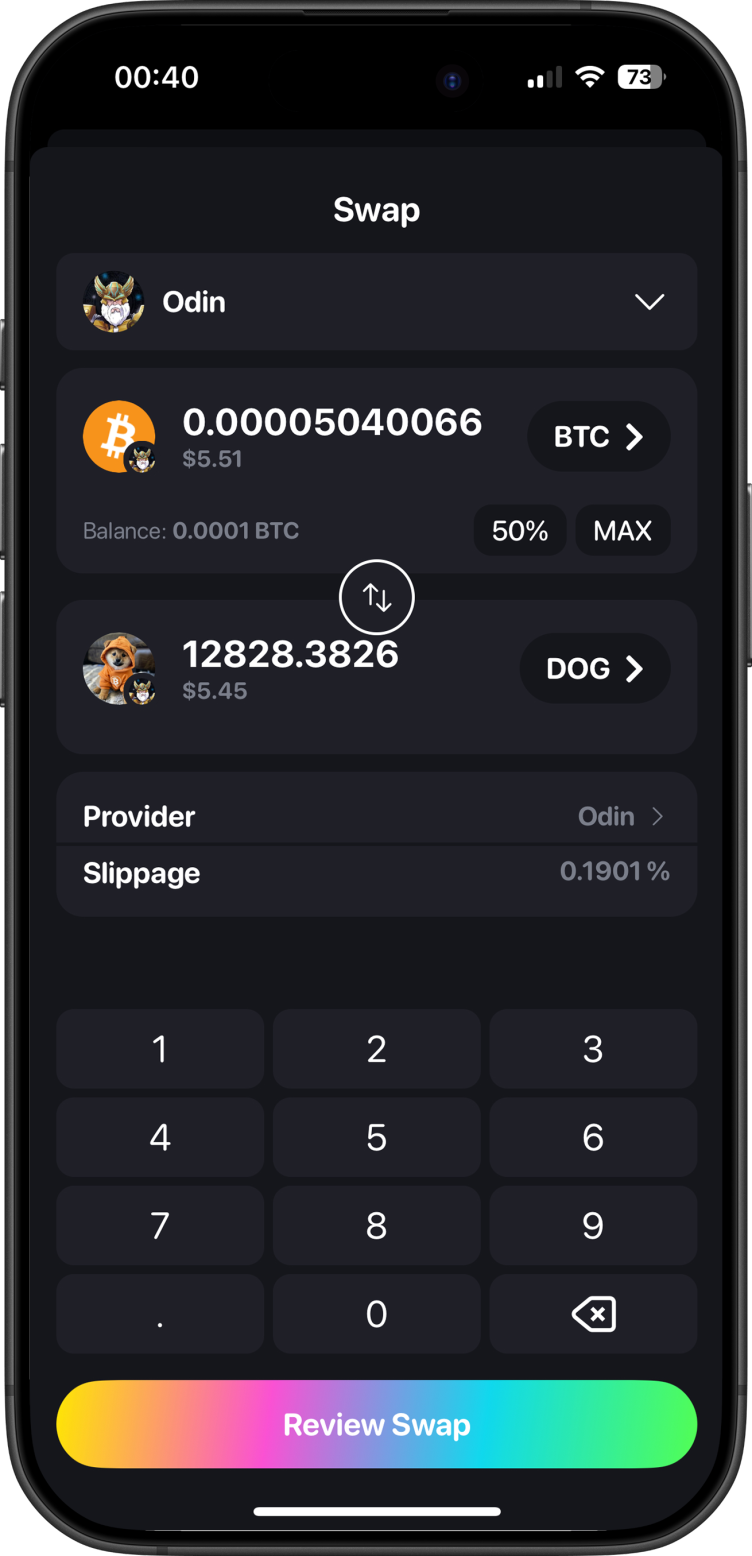 Plug Wallet Swap Interface